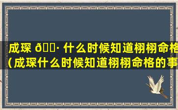 成琛 🌷 什么时候知道栩栩命格（成琛什么时候知道栩栩命格的事番茄 🐝 ）